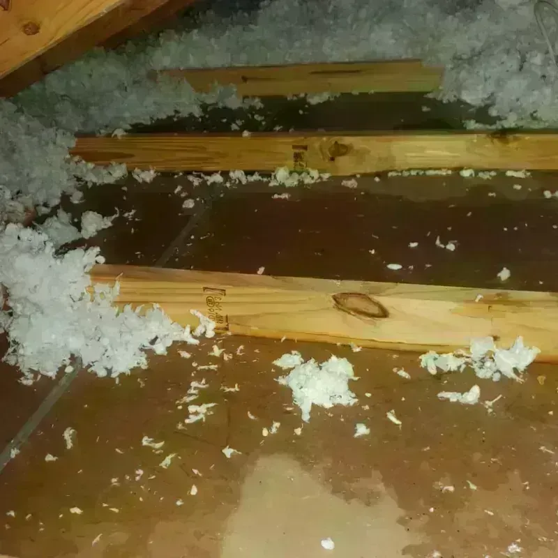 Attic Water Damage in Boling, TX